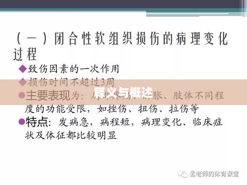手游棒子释义与概述-图1 手游棒子释义与概述-图1