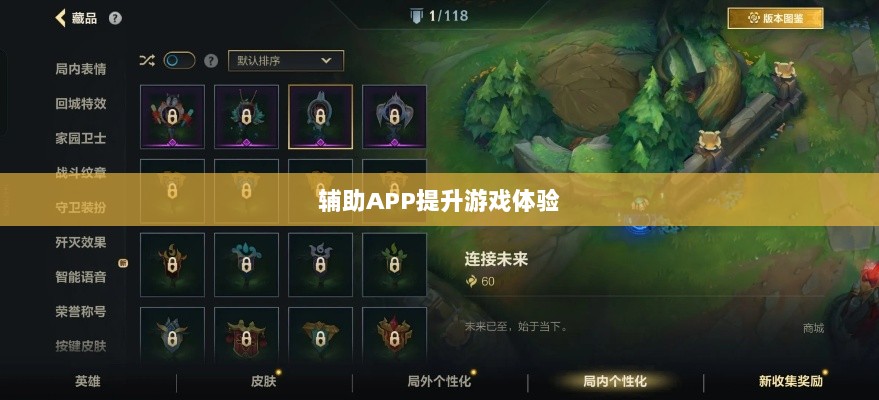 手游LOL，如何利用辅助APP提升游戏体验的选择与使用指南-图1
