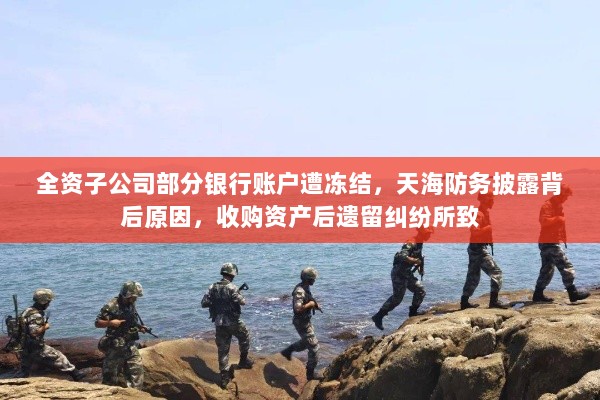 全资子公司部分银行账户遭冻结，天海防务披露背后原因，收购资产后遗留纠纷所致-图1