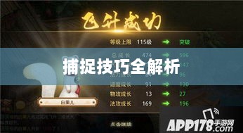 问道手游宠物捕捉攻略，轻松掌握捕捉技巧全解析-图1