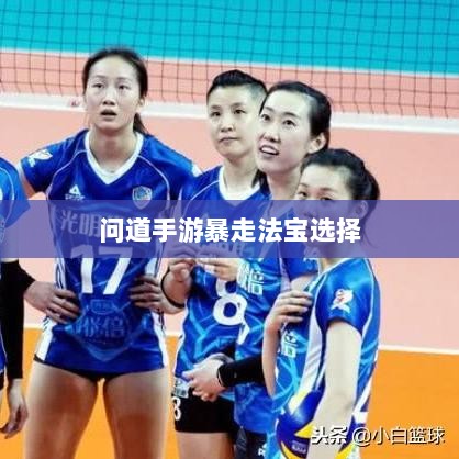 问道手游暴走法宝选择与实战策略应用指南-图1