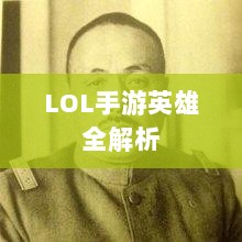 LOL手游英雄全解析，英雄荟萃与特色展示-图1
