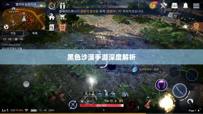 黑色沙漠手游深度解析，游戏体验、坑点探讨-图1