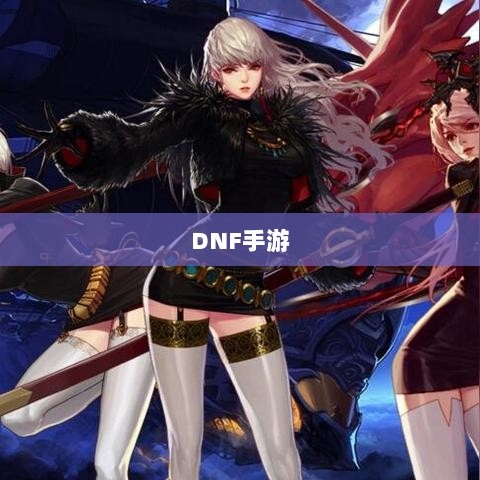 DNF手游,是否可以依赖代练服务?-图1 DNF手游,是否可以依赖代练服务?-图1