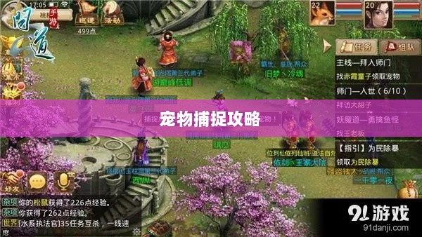 问道手游，宠物捕捉攻略全解析-图1