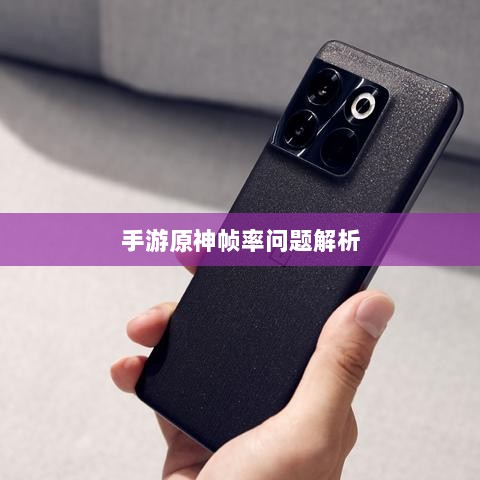 手游原神帧率问题解析,是否仅有三十帧?-图1 手游原神帧率问题解析,是否仅有三十帧?-图1