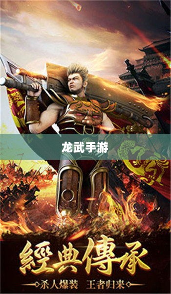 深度解析，龙武手游的成功存活之道-图1