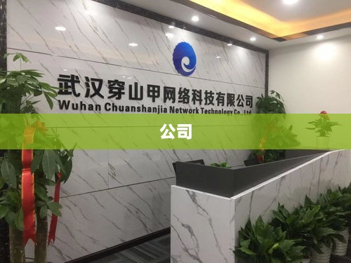 科创新源及相关责任人因信息披露不准确遭行政监管措施决定书处罚-图1