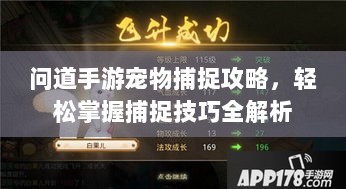 问道手游宠物捕捉攻略，轻松掌握捕捉技巧全解析-图1