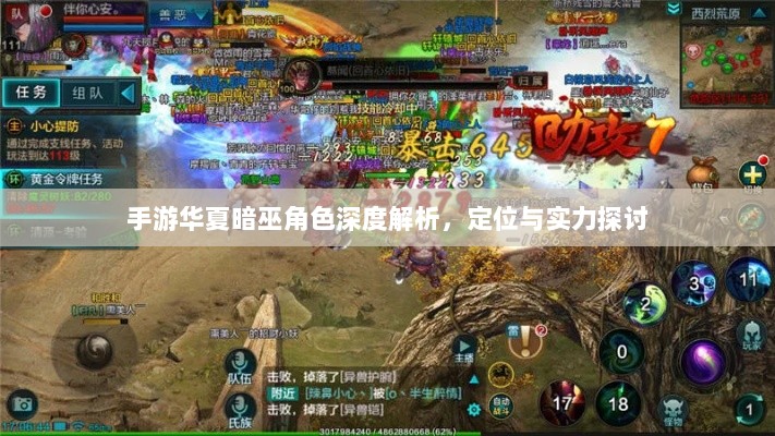 手游华夏暗巫角色深度解析，定位与实力探讨-图1