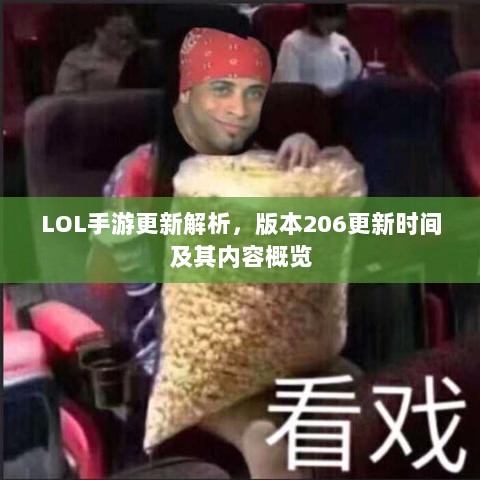 LOL手游更新解析，版本206更新时间及其内容概览-图1