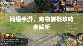 问道手游,宠物捕捉攻略全解析-图1 问道手游,宠物捕捉攻略全解析-图1