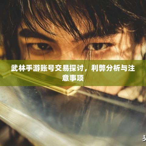 武林手游账号交易探讨,利弊分析与注意事项-图1 武林手游账号交易探讨,利弊分析与注意事项-图1