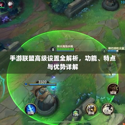 手游联盟高级设置全解析，功能、特点与优势详解-图1