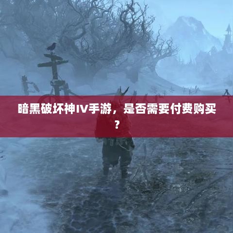 暗黑破坏神IV手游,是否需要付费购买?-图1 暗黑破坏神IV手游,是否需要付费购买?-图1