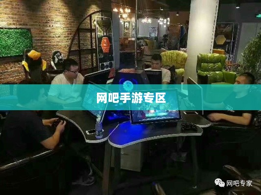 网吧手游专区,游戏爱好者的新乐界-图1 网吧手游专区,游戏爱好者的新乐界-图1