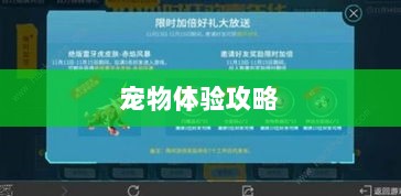 手游中宠物购买与体验攻略-图1