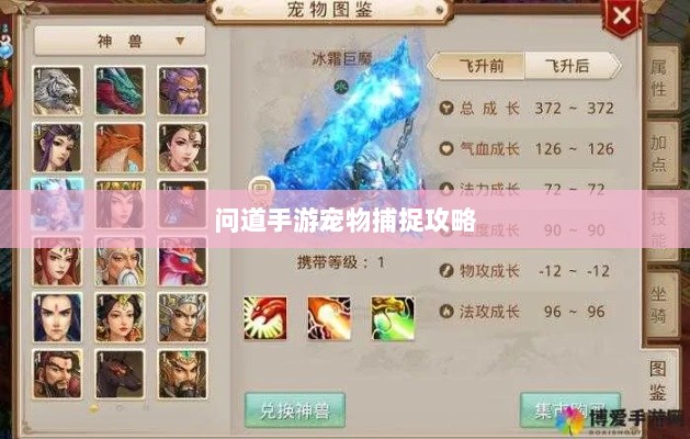 问道手游宠物捕捉攻略，轻松掌握捕捉技巧全解析-图1