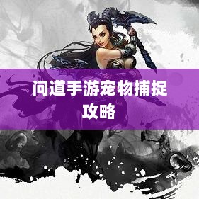 问道手游宠物捕捉攻略，轻松掌握捕捉技巧全解析-图1