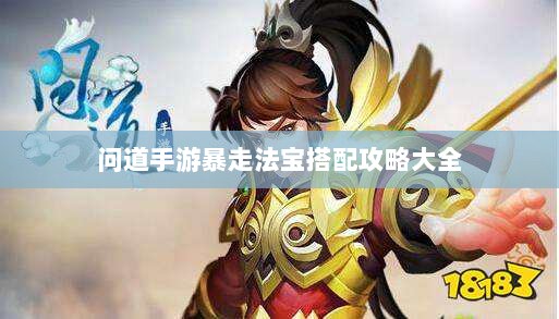 问道手游暴走法宝搭配攻略大全-图1 问道手游暴走法宝搭配攻略大全-图1