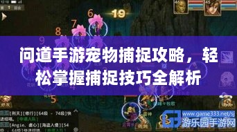 问道手游宠物捕捉攻略，轻松掌握捕捉技巧全解析-图1