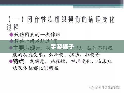 手游棒子释义与概述-图1 手游棒子释义与概述-图1