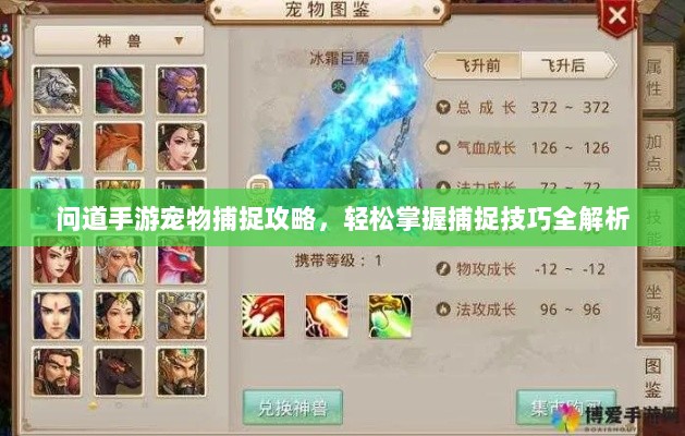 问道手游宠物捕捉攻略,轻松掌握捕捉技巧全解析-图1 问道手游宠物捕捉攻略,轻松掌握捕捉技巧全解析-图1