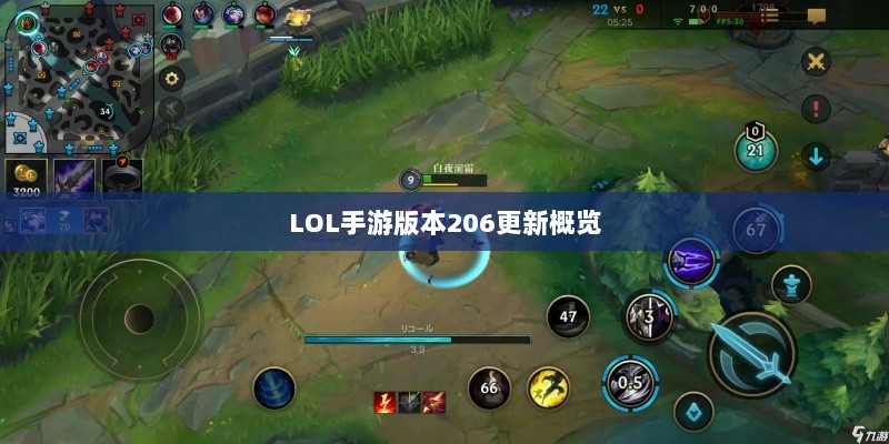 LOL手游更新解析，版本206更新时间及其内容概览-图1