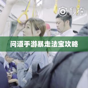 问道手游暴走法宝攻略,最佳搭配选择指南-图1 问道手游暴走法宝攻略,最佳搭配选择指南-图1