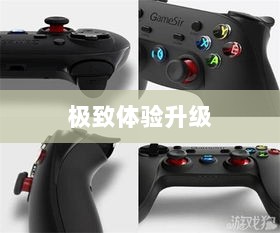CF手游定制手柄，个性化定制与极致体验升级-图1
