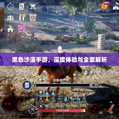 黑色沙漠手游，深度体验与全面解析-图1