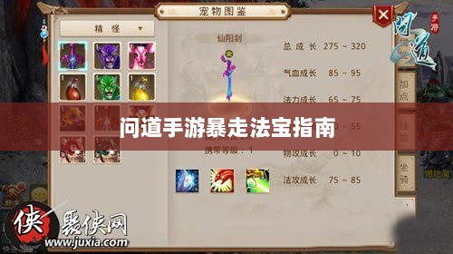 问道手游暴走法宝指南，最佳搭配选择攻略-图1