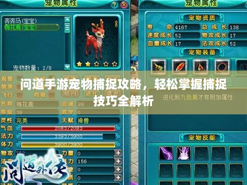 问道手游宠物捕捉攻略，轻松掌握捕捉技巧全解析-图1