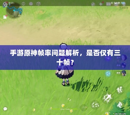 手游原神帧率问题解析,是否仅有三十帧?-图1 手游原神帧率问题解析,是否仅有三十帧?-图1