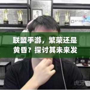 联盟手游，繁荣还是黄昏？探讨其未来发展之路。-图1