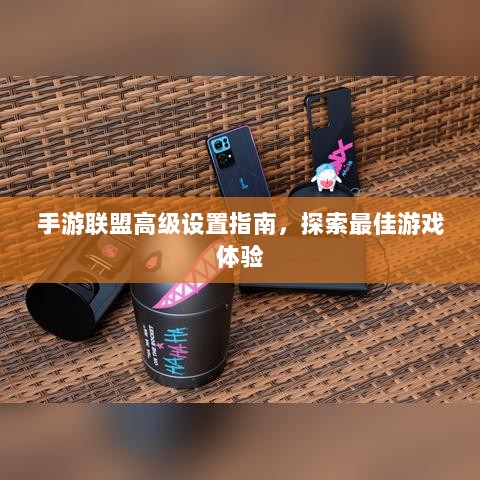 手游联盟高级设置指南，探索最佳游戏体验-图1