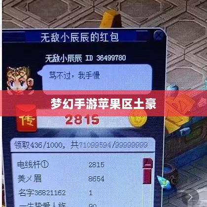 梦幻手游苹果区土豪深度解析，土豪文化盛行与否？-图1