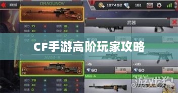 CF手游高阶玩家深度解析攻略-图1 CF手游高阶玩家深度解析攻略-图1