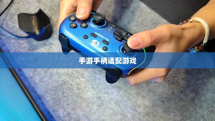 手游手柄适配游戏精选，打造极致游戏体验-图1