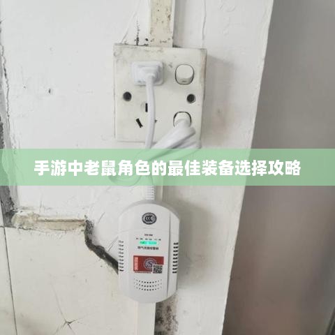 手游中老鼠角色的最佳装备选择攻略-图1 手游中老鼠角色的最佳装备选择攻略-图1