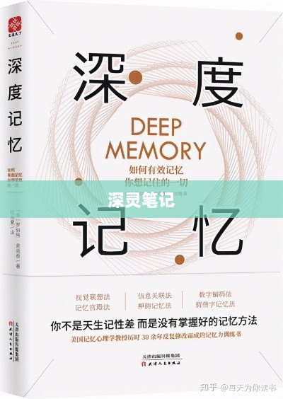 深灵笔记，手游还是其他？深度探究其本质魅力-图1