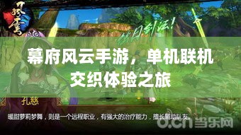幕府风云手游，单机联机交织体验之旅-图1