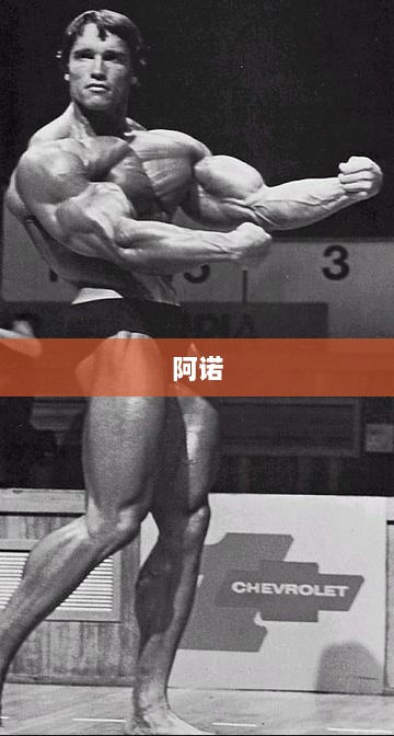 皮阿诺回购股份用途变更引发争议，议题紧迫，两名董事弃权票决定搁置计划实施-图1