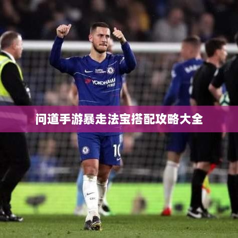 问道手游暴走法宝搭配攻略大全-图1