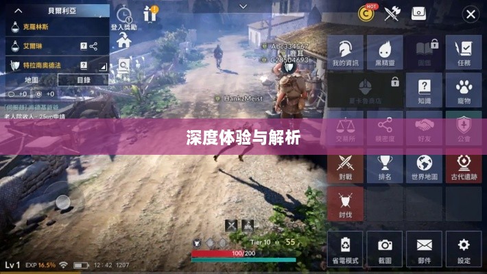 黑色沙漠手游，深度体验与全面解析-图1