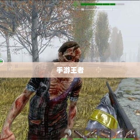 手游王者游戏单机模式探索,独立游戏乐趣体验-图1 手游王者游戏单机模式探索,独立游戏乐趣体验-图1