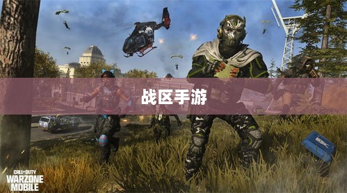 战区手游游客登录攻略,畅游游戏世界指南-图1 战区手游游客登录攻略,畅游游戏世界指南-图1