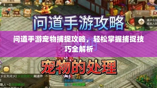 问道手游宠物捕捉攻略，轻松掌握捕捉技巧全解析-图1