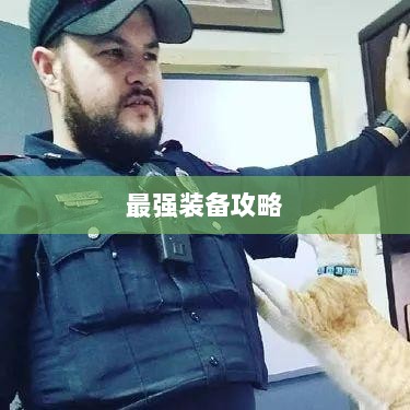 手游老鼠最强装备推荐攻略-图1