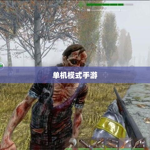 王者游戏单机模式手游介绍-图1 王者游戏单机模式手游介绍-图1